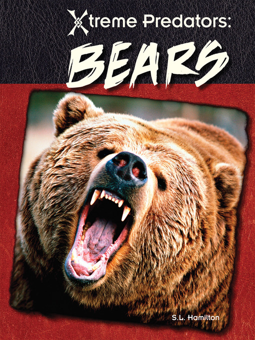 Title details for Bears by Sue L. Hamilton - Available